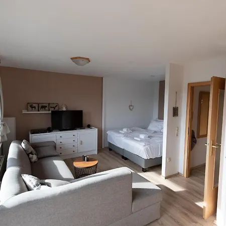 View - Balkon Mit Suedblick - Zentrale Lage - Eigener Parkplatz * Winterberg